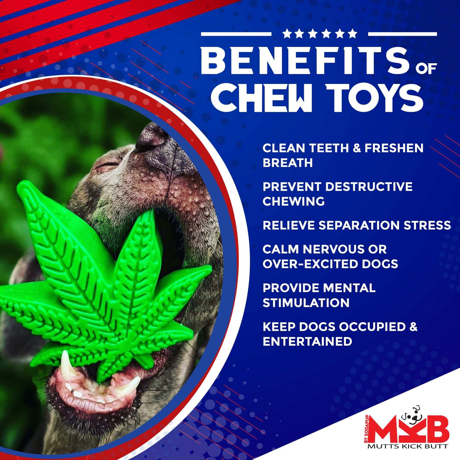 Green Colorado Maple Leaf nylon dog chew toy for aggressive chewers with benefits listed including dental health and mental stimulation