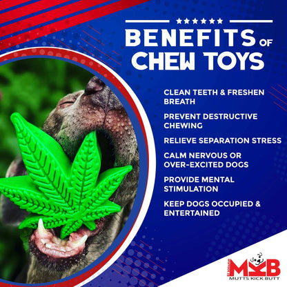 Green Colorado Maple Leaf nylon dog chew toy for aggressive chewers with benefits listed including dental health and mental stimulation