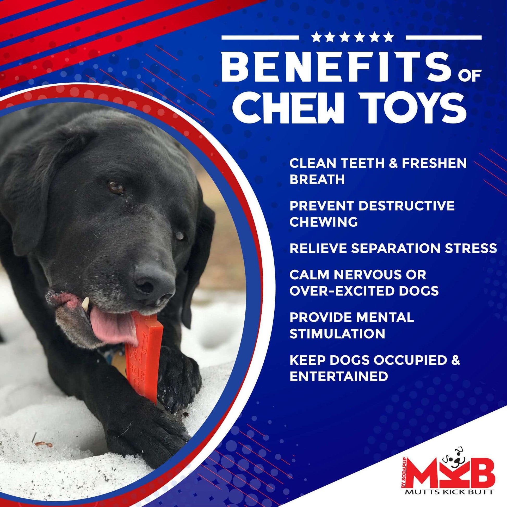 Orange Headstone Ultra Durable Nylon Dog Chew Toy designed for aggressive chewers and dental health