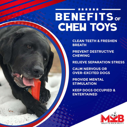 Orange Headstone Ultra Durable Nylon Dog Chew Toy designed for aggressive chewers and dental health