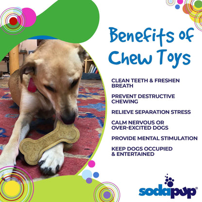 Bone eChew Ultra Durable Nylon Dog Chew Toy - For Aggressive Chewers 