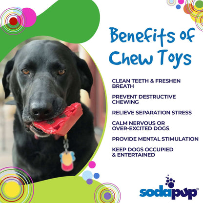 Black dog chewing red Cherry Pie Nylon Dog Chew durable nylon dog toy for aggressive chewers by SodaPup