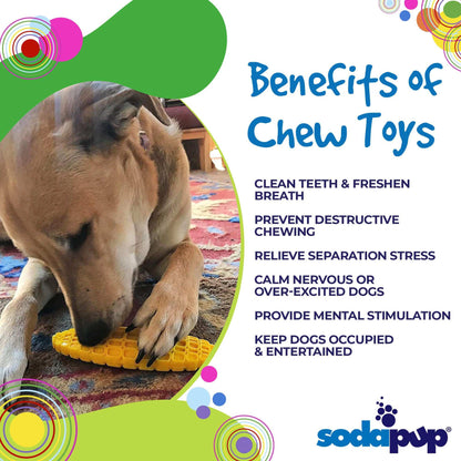 Corn on the Cob Nylon Dog Toy - USA Made Heavy Chewer Durable Chew Toy