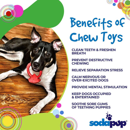 Dog chewing on red Diamond Ring Nylon Teething Ring toy lying on wooden floor with benefits of chew toys listed alongside