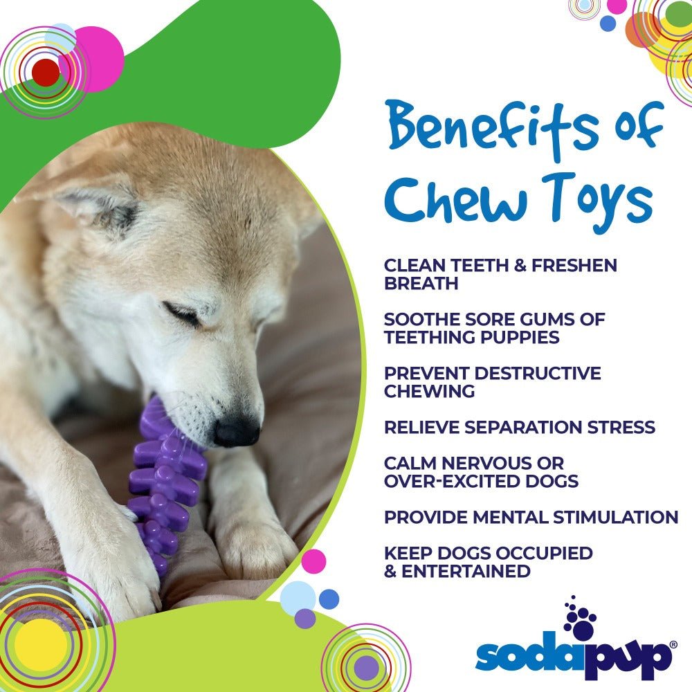 Fish Bone Nylon Dog Toy for Aggressive Chewers | USA Made Durable Chew