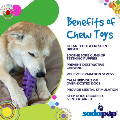 Fish Bone Nylon Dog Toy for Aggressive Chewers | USA Made Durable Chew