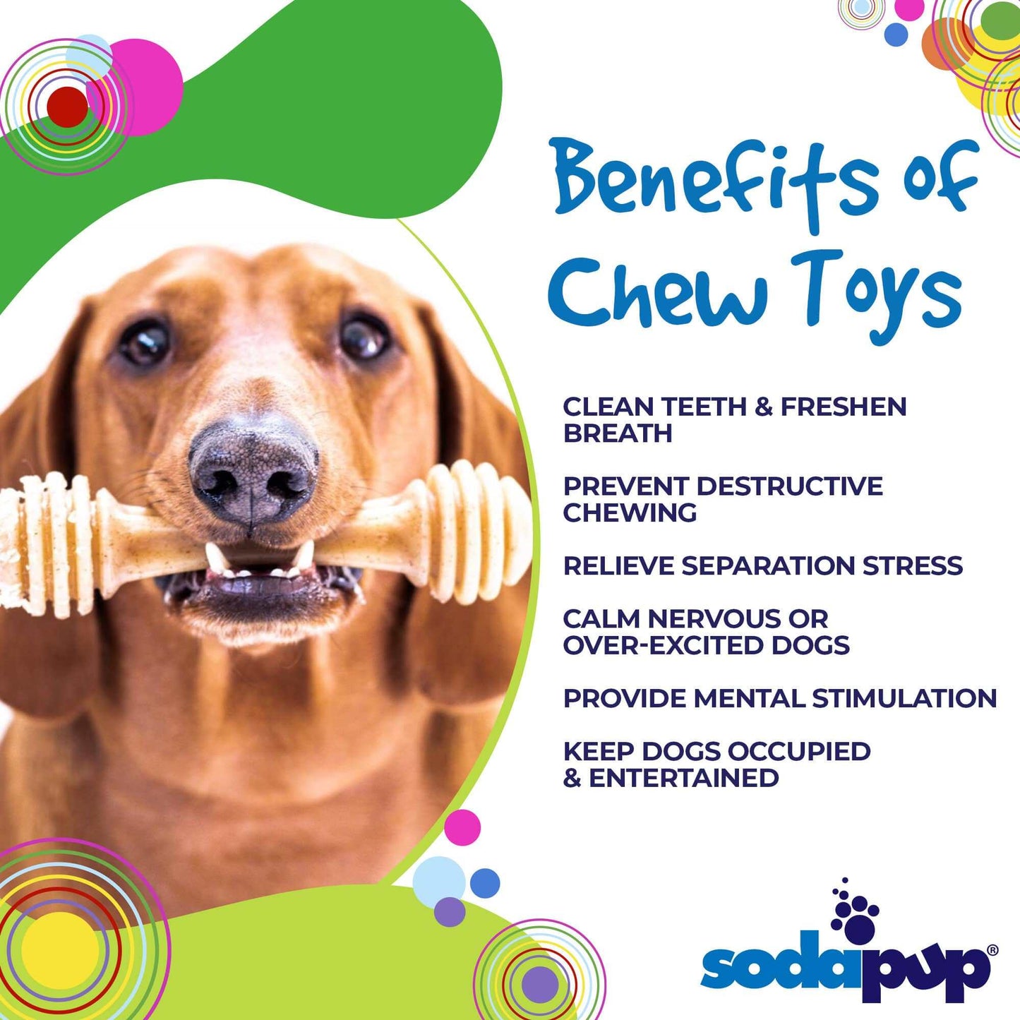 Honey Bone eChew Ultra Durable Nylon Dog Chew Toy - For Heavy Chewers