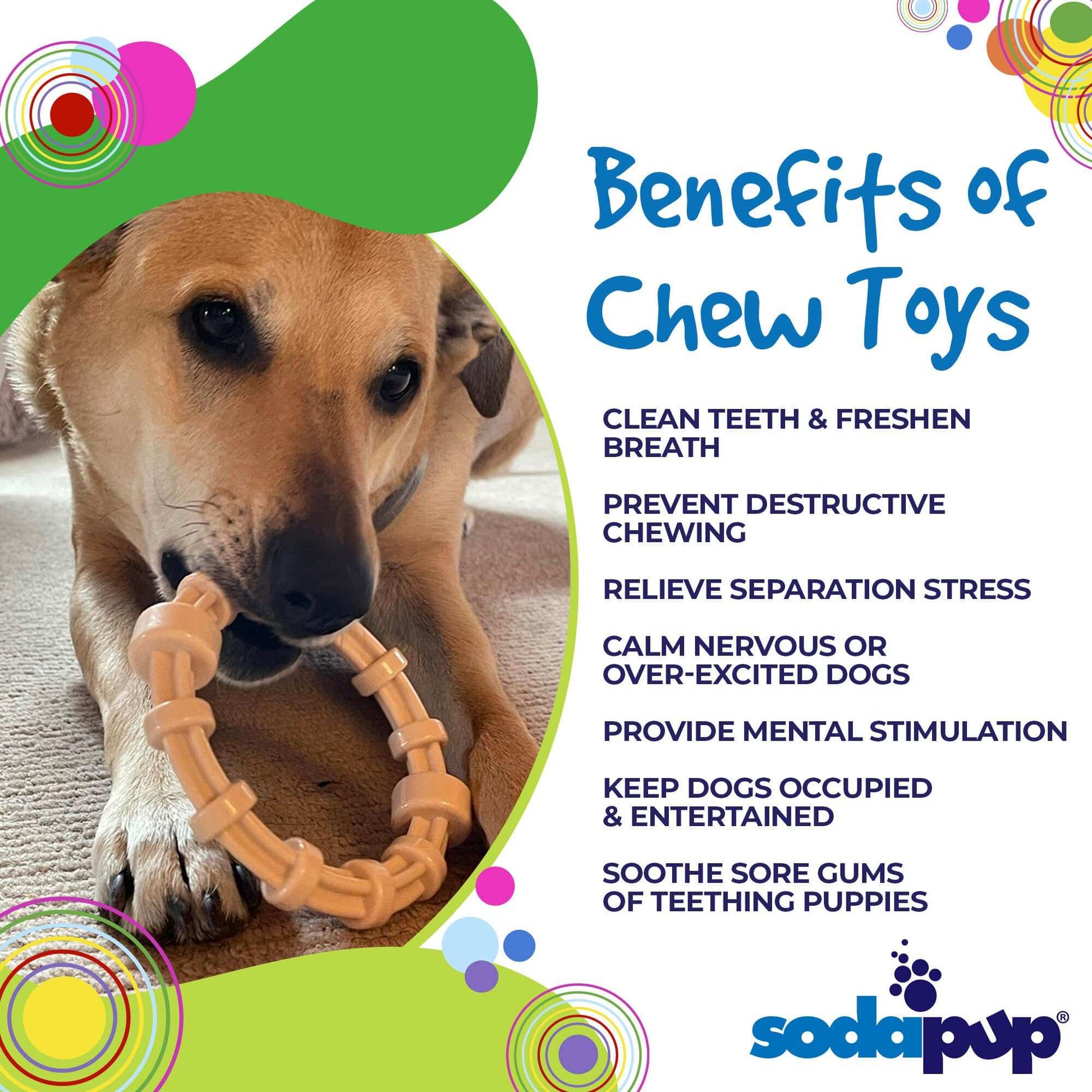 Puppy chewing on chicken flavored teething ring by SodaPup, promoting dental health and soothing sore gums.