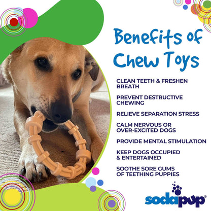 Puppy chewing on chicken flavored teething ring by SodaPup, promoting dental health and soothing sore gums.