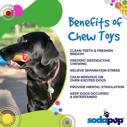 Hot Dog Nylon Dog Toy: Indestructible Chew for Aggressive Dogs in USA