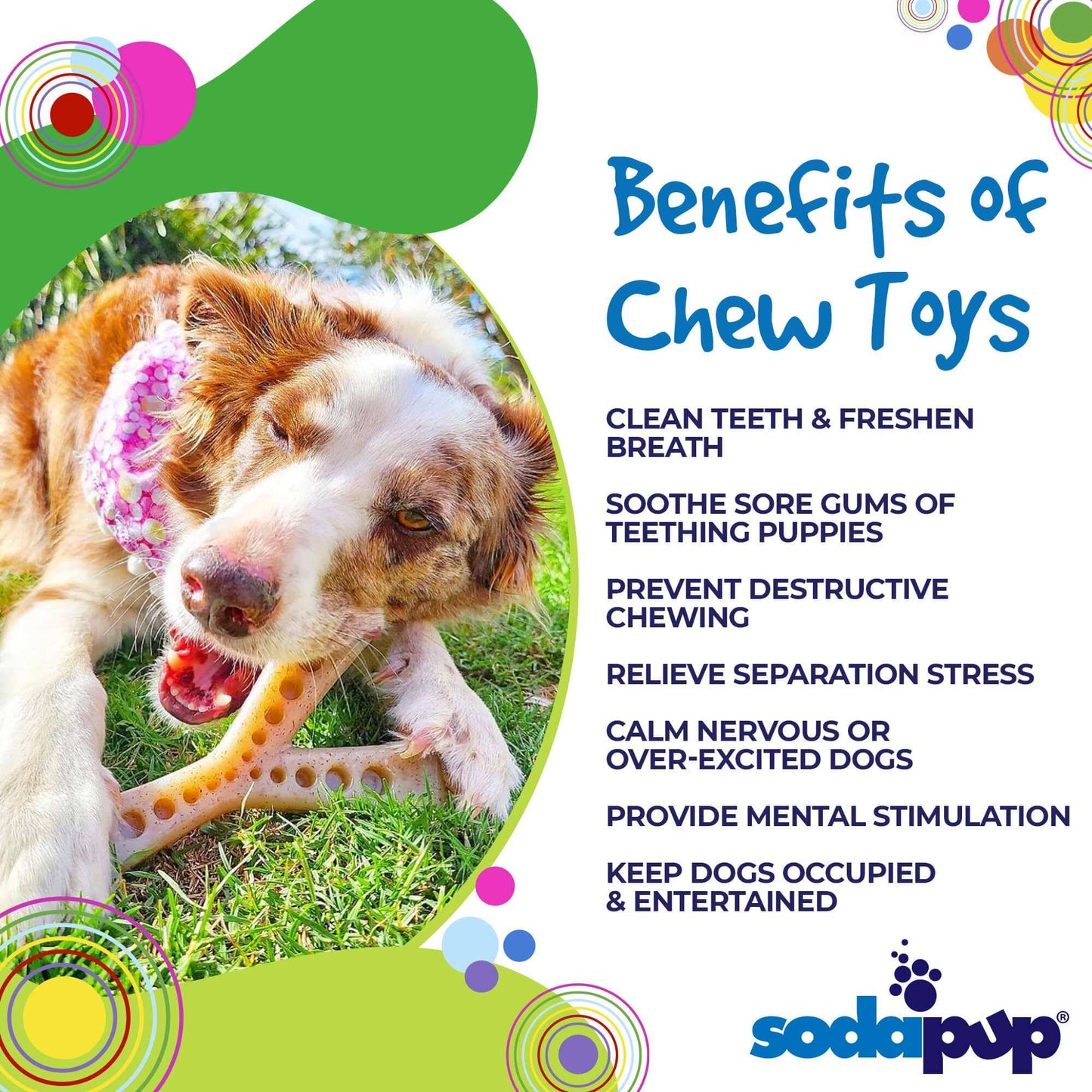 MOD Wishbone Nylon Dog Chew Toy for Aggressive Chewers | Made in USA