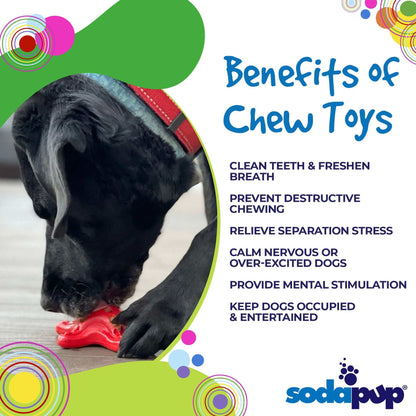 Starfish Nylon Dog Chew Toy | Aggressive Chewers | USA Made | SodaPup