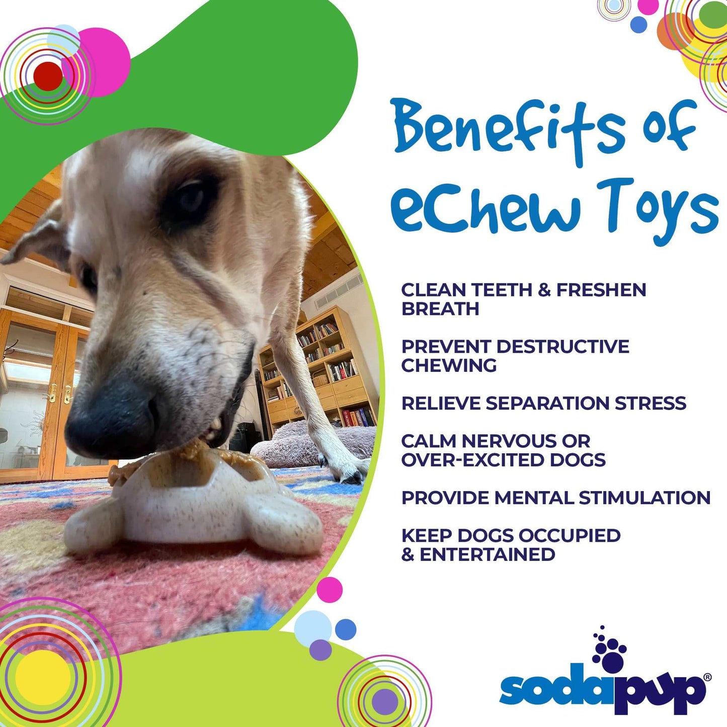 Dog chewing on a Turtle Nylon Chew Toy for dental health and mental stimulation by SodaPup