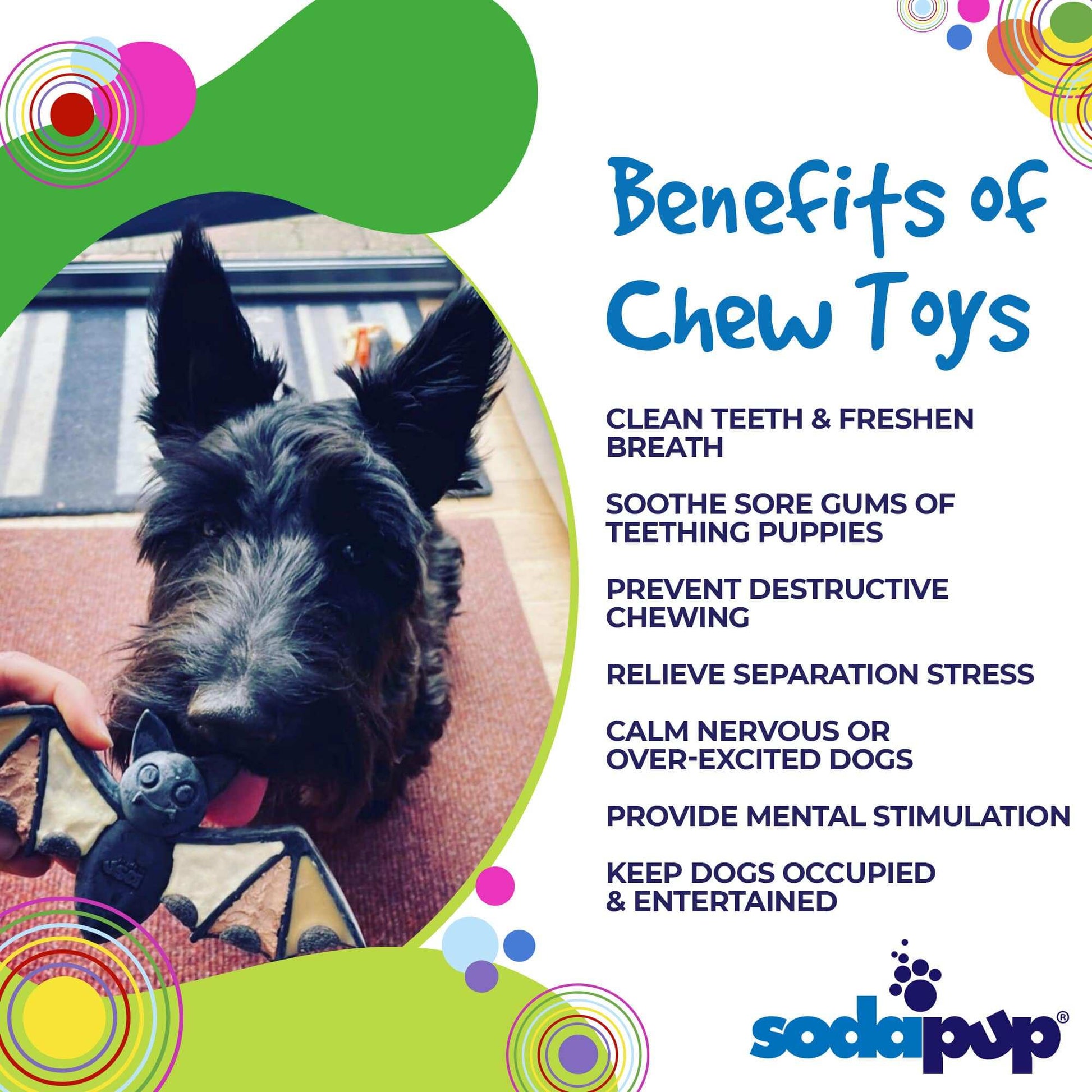 Vampire Bat Nylon Dog Chew Toy for Aggressive Chewers | FDA Compliant