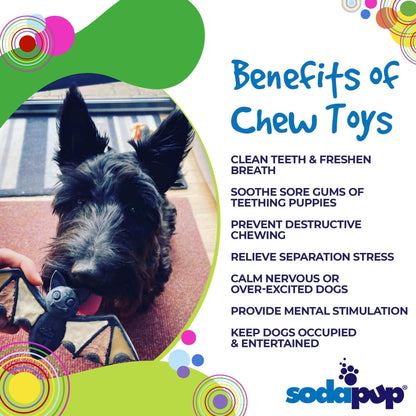 Vampire Bat Nylon Dog Chew Toy for Aggressive Chewers | FDA Compliant