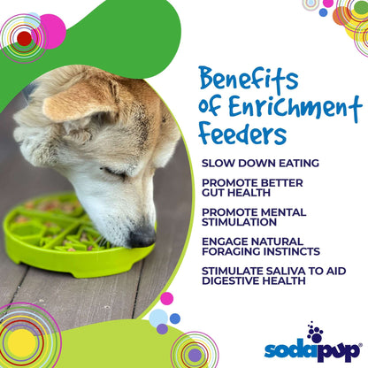 Dog eating from green Four Seasons Design eTray slow feeder bowl promoting mental stimulation and better digestion