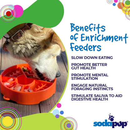 Dog eating from an orange slow feeder dog bowl promoting mental stimulation and improved gut health