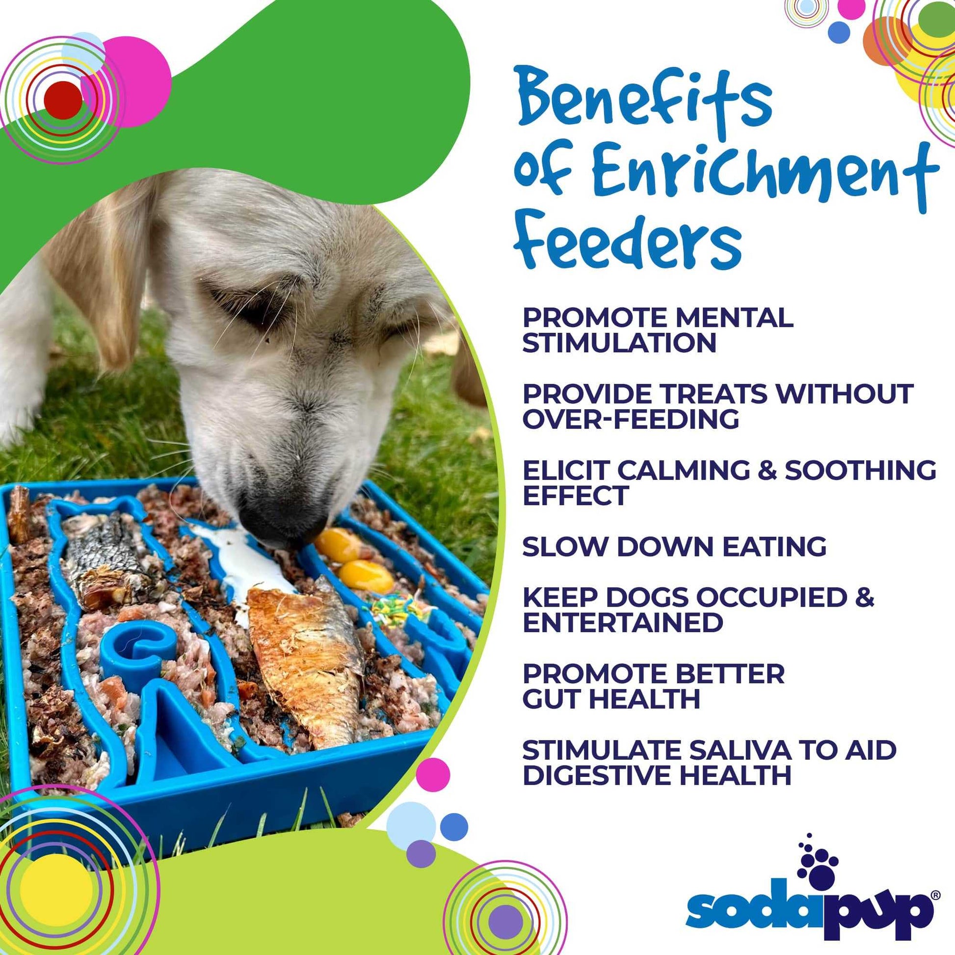 Dog using blue Waiting Dogs Design eTray slow feeder promoting mental stimulation and healthier eating