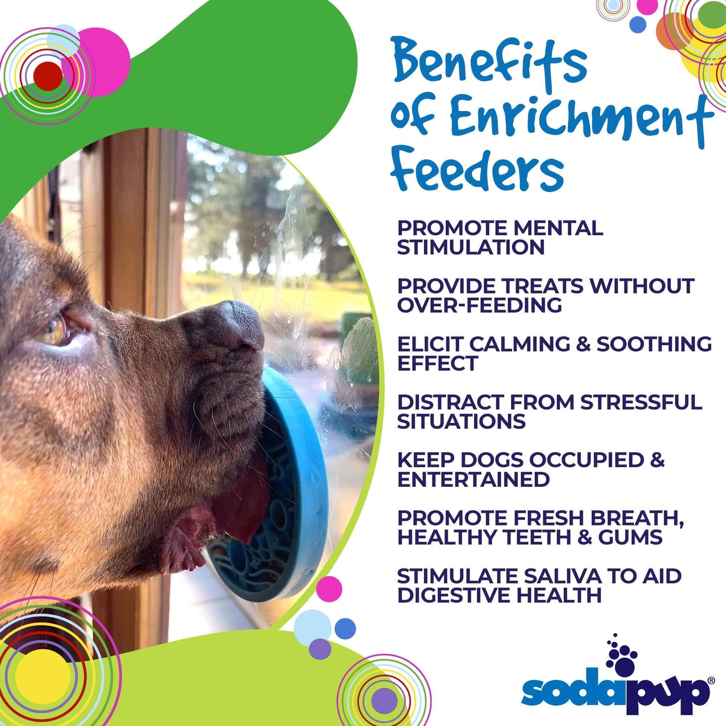 Small dog licking Turtle eMat-Mini lick mat with suction cups for enrichment and anxiety relief
