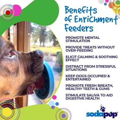 Small dog licking Turtle eMat-Mini lick mat with suction cups for enrichment and anxiety relief