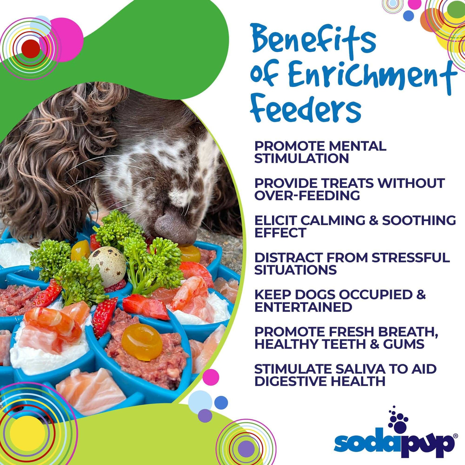 Mandala eTray Shallow Slow Feeder Dog Bowl for Enrichment | USA Made