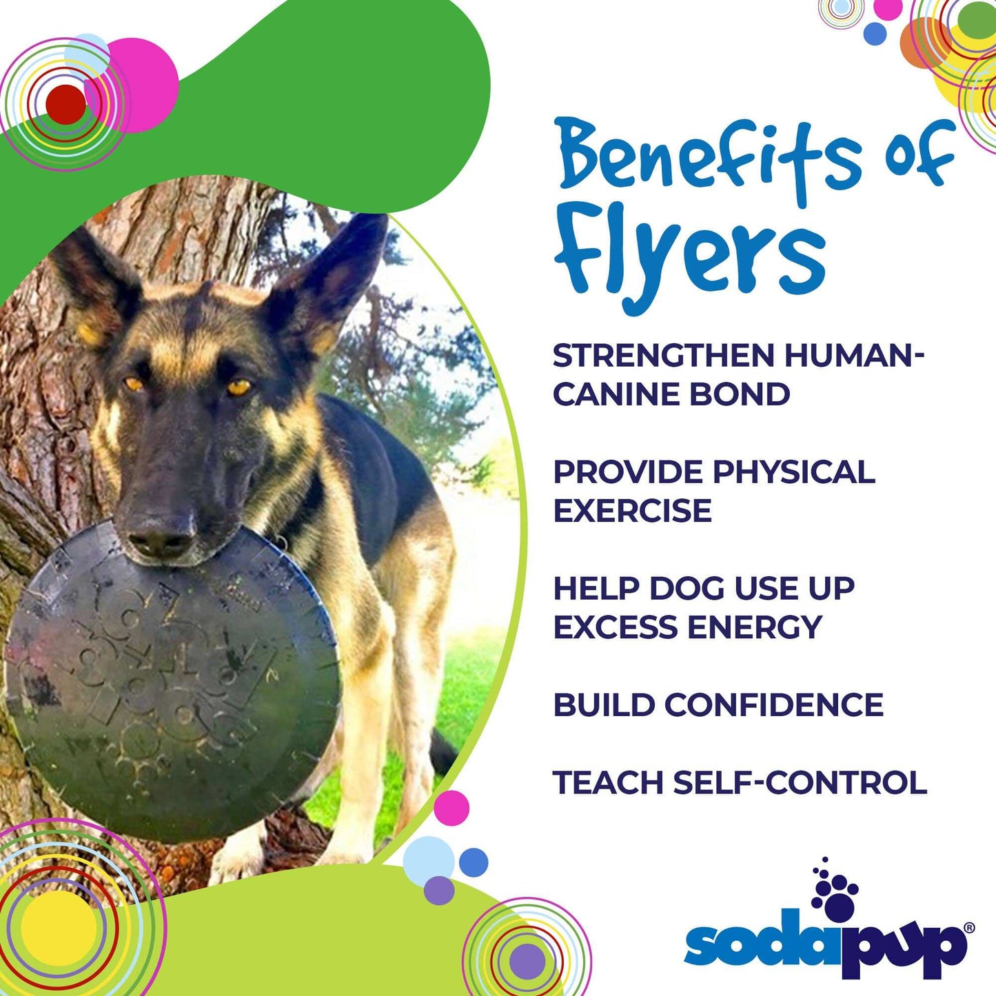 German shepherd dog holding Magnum Bottle Top Flyer black rubber frisbee with text benefits of flyers dog exercise and confidence building