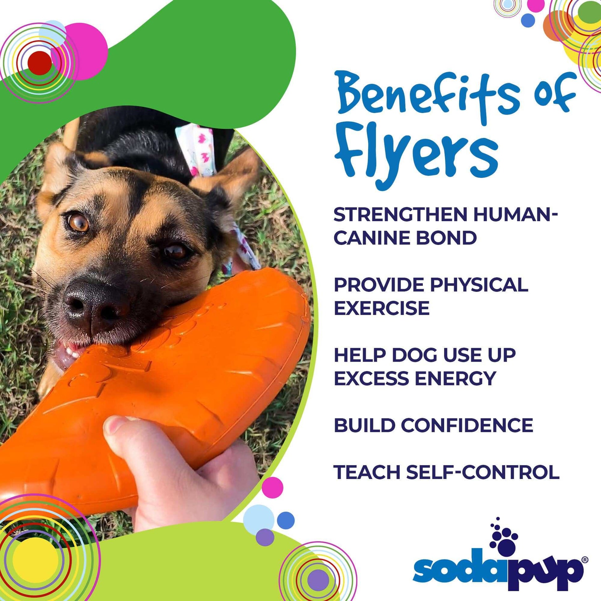 Dog playing with orange Bottle Top Flyer durable rubber retrieving frisbee outdoors