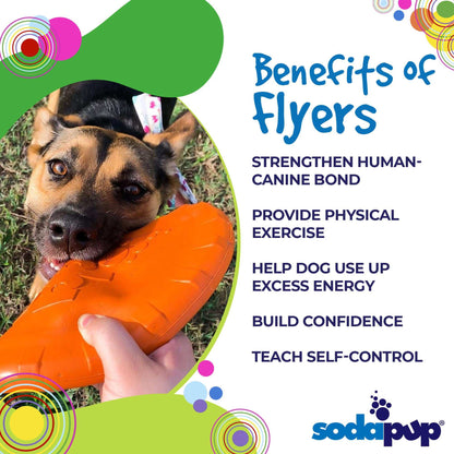 Dog playing with orange Bottle Top Flyer durable rubber retrieving frisbee outdoors