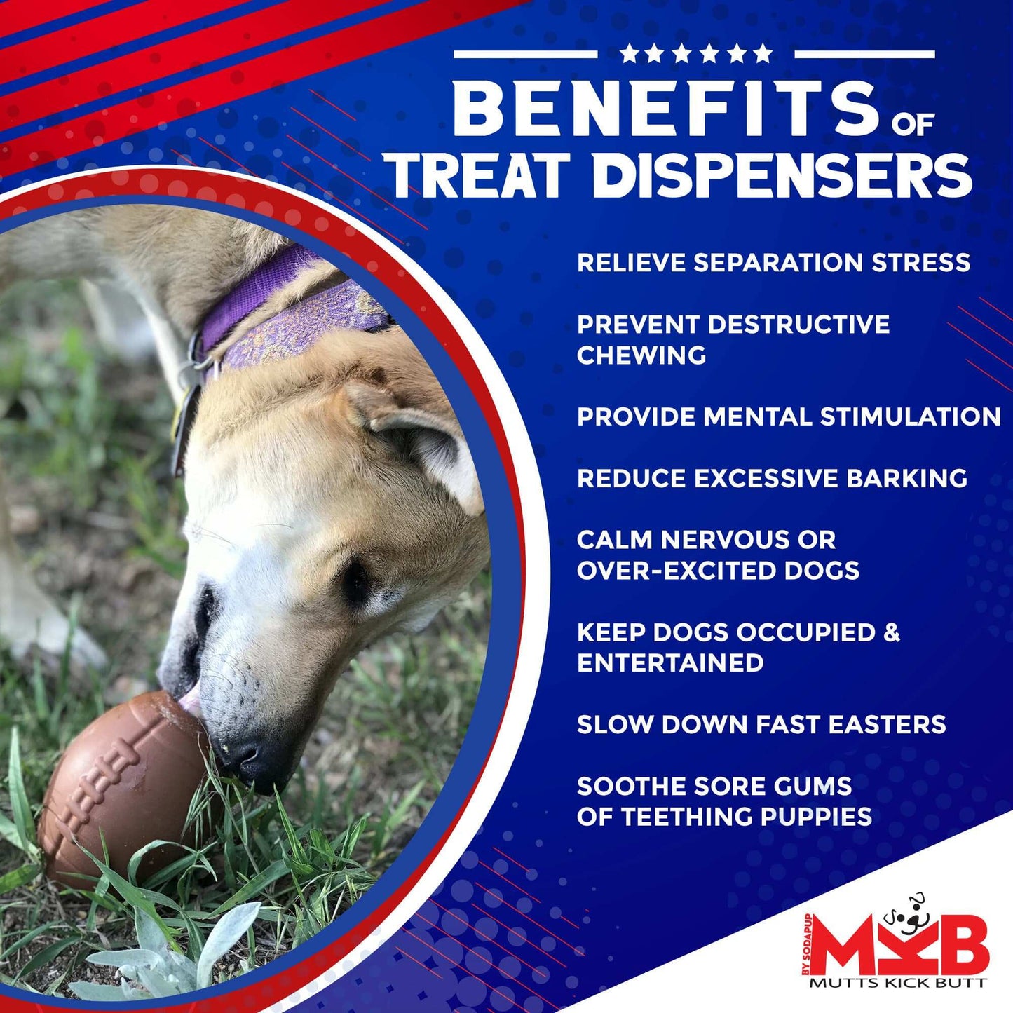 Dog chewing on Football eDispenser durable rubber chew toy and treat dispenser outdoors with benefits listed