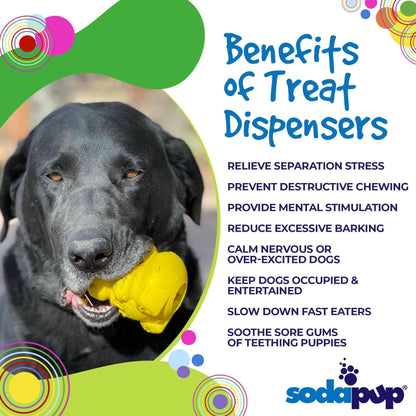 Black dog chewing yellow Honey Bear eDispenser toy releasing treats with benefits of treat dispensers text