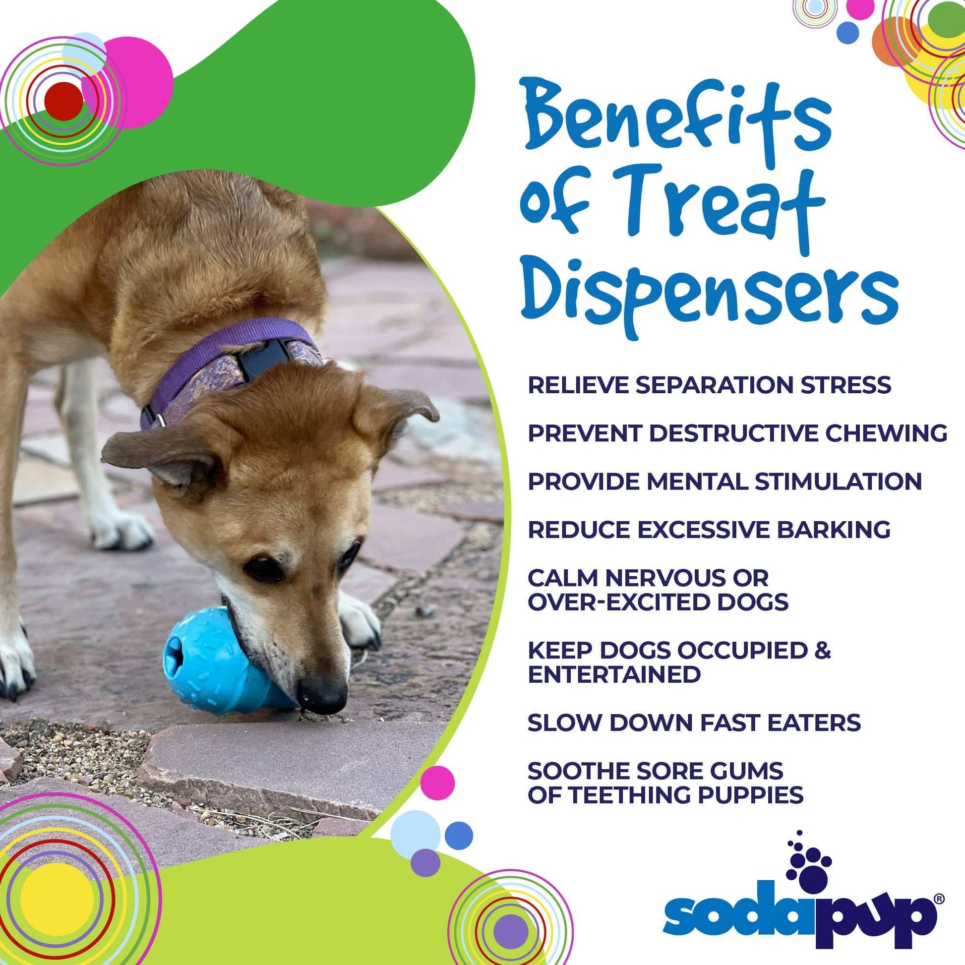 Dog playing with blue treat dispenser chew toy designed to relieve stress and prevent destructive chewing