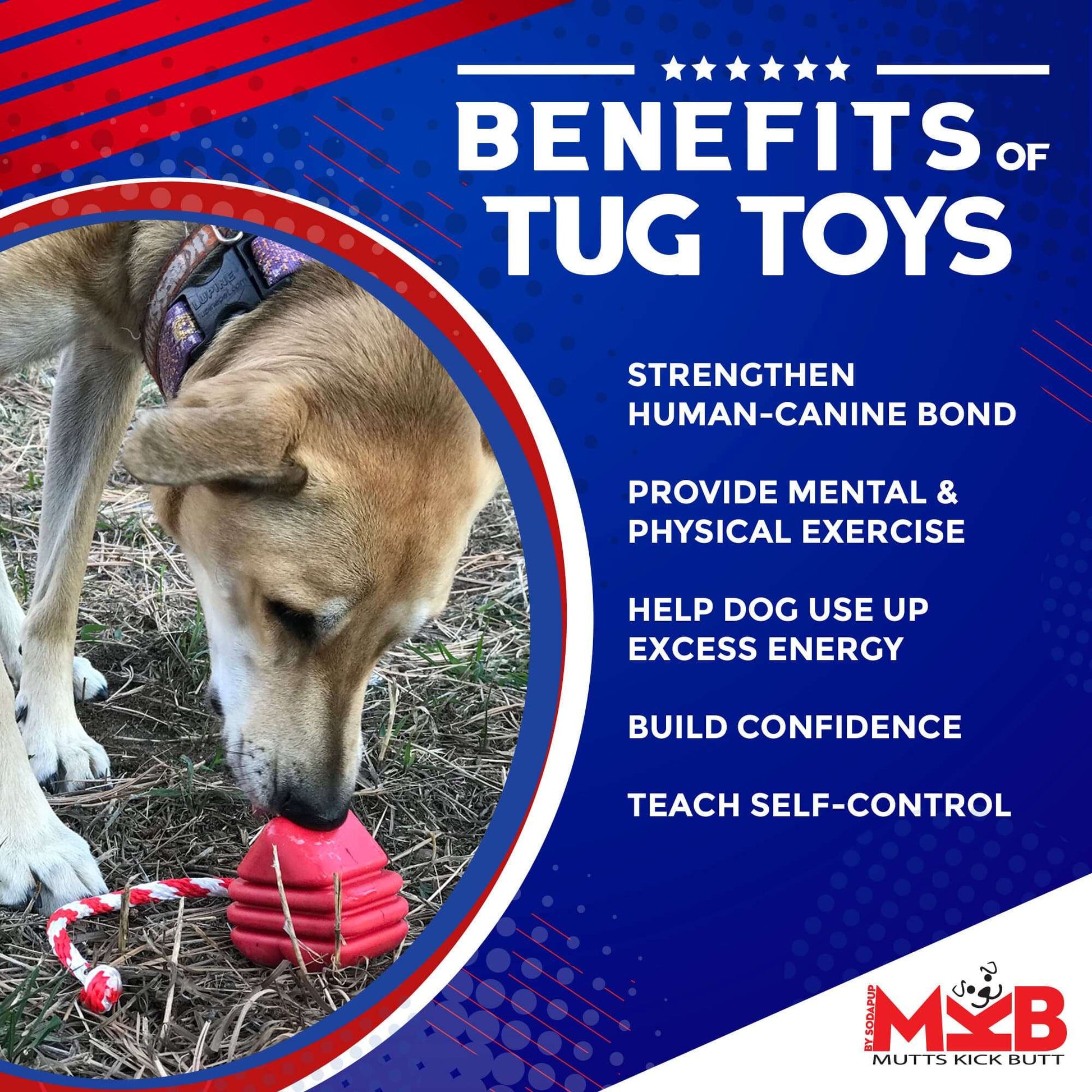 Large Rubber Heart on a String Toy - Durable Dog Chew & Fetch Ball