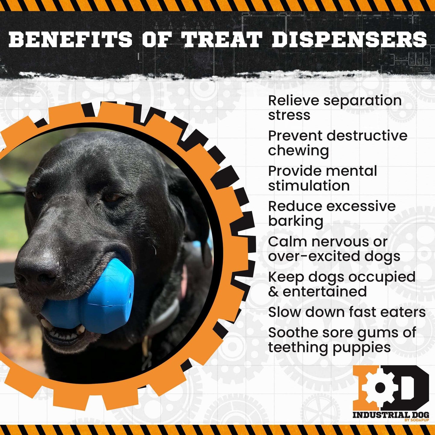 Double Trouble Durable Rubber Chew Toy - Tough Toy, Dispenser for Dogs