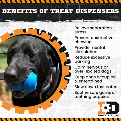 Double Trouble Durable Rubber Chew Toy - Tough Toy, Dispenser for Dogs