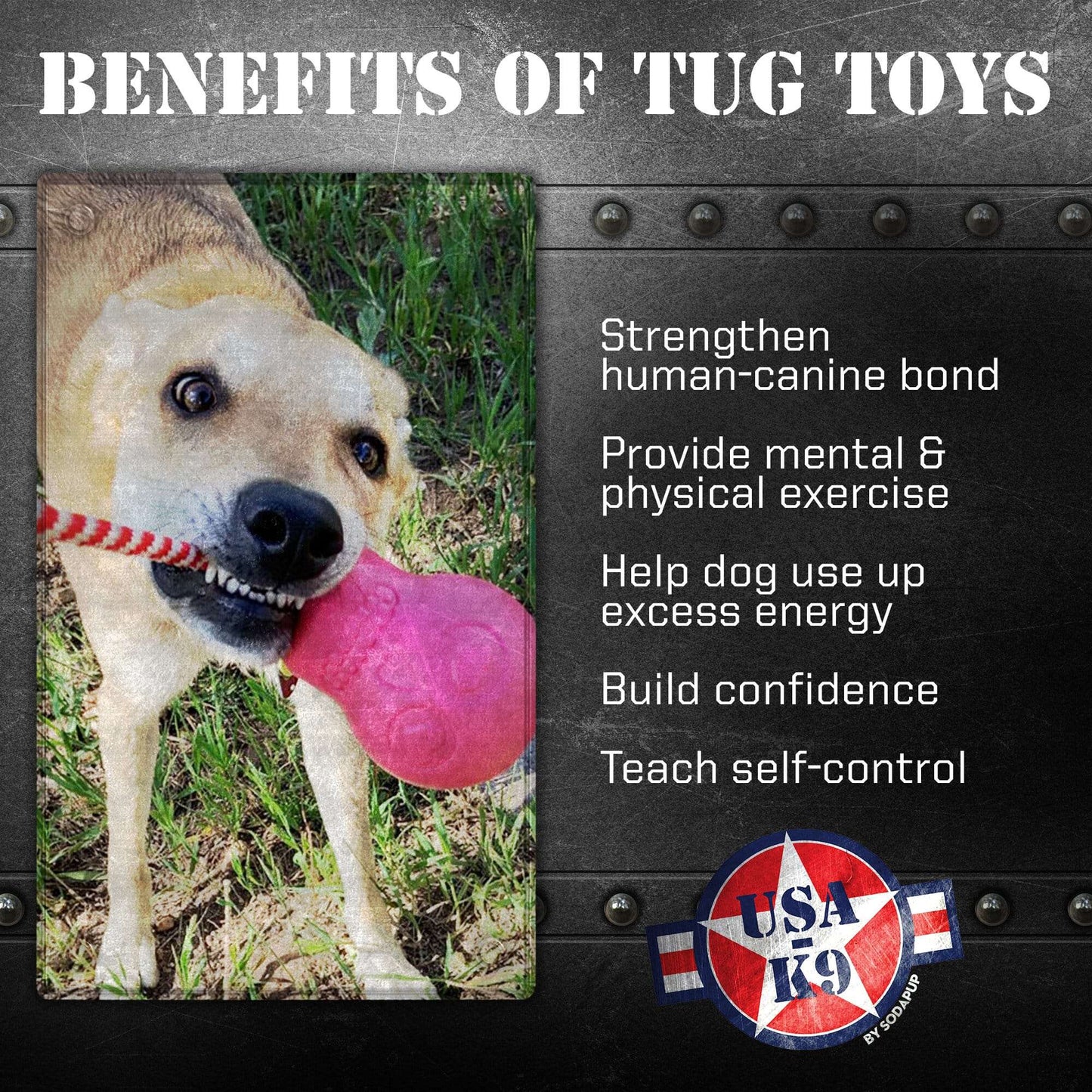 USA-K9 Skull Durable Rubber Chew Toy for Heavy Chewers Treat Dispenser