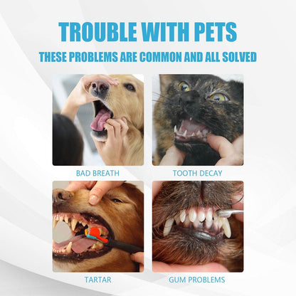 Pet toothpaste for dogs and cats addressing bad breath, tooth decay, tartar, and gum problems