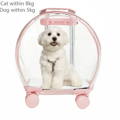 Transparent rolling pet travel trolley with wheels for puppies and cats in pink and green colors
