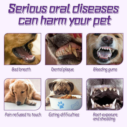 Pet toothbrush for dogs with silicone bristles for gentle tongue and teeth cleaning