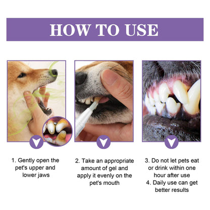 Pet Oral Repair Gel being applied to dog teeth to reduce stains and improve oral hygiene
