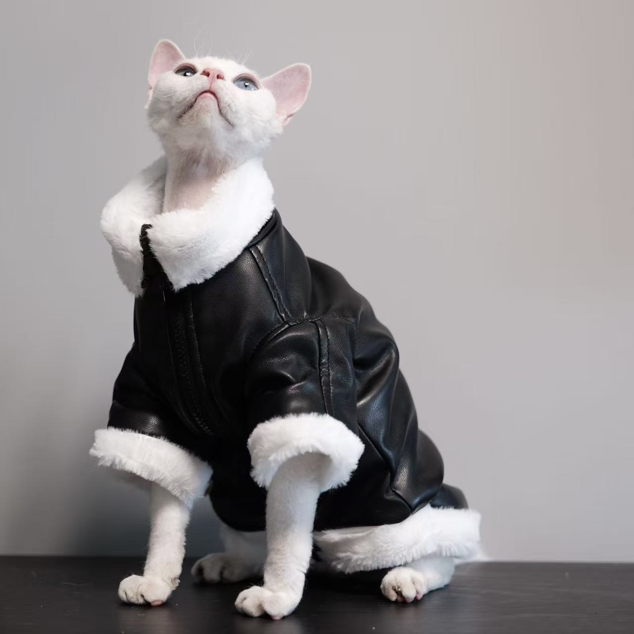 Thickened Coat Furless Cat Apparel Sphynx Cat Outfit Autumnwinter Style