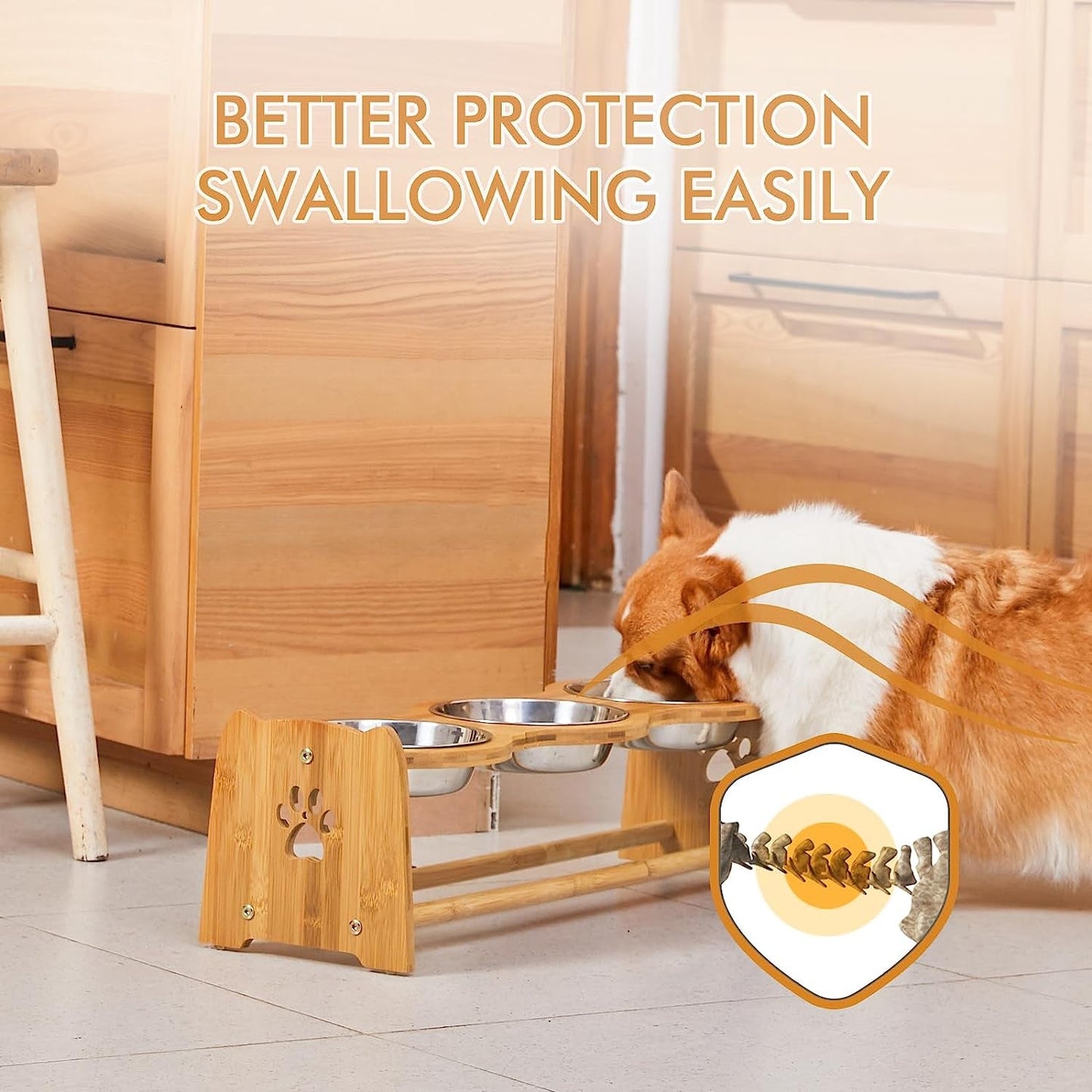 Elevated Dog Bowls for Cats and Dogs