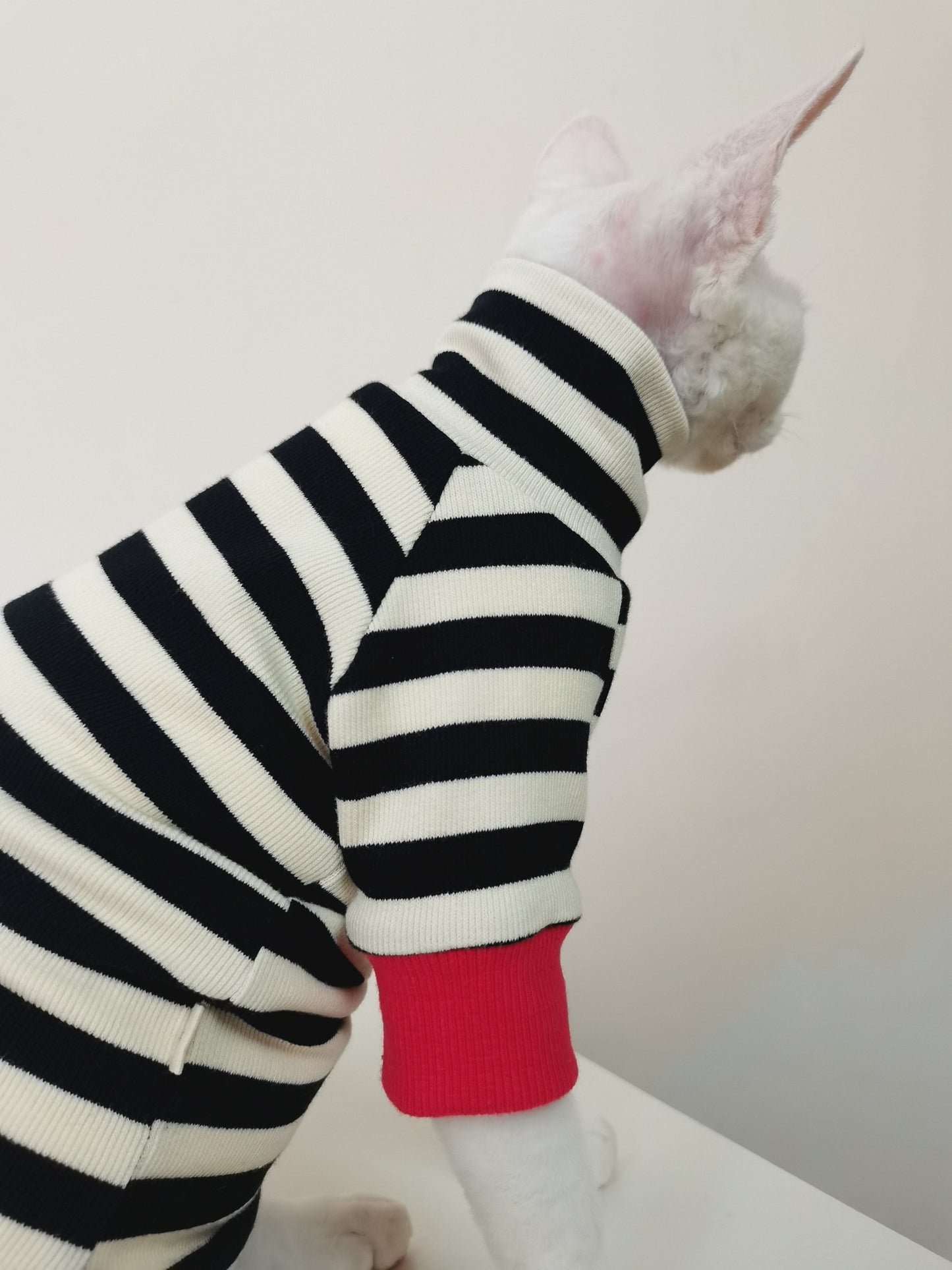 Belly-protecting Four-legged High-elasticity Fur-free Cat Clothing