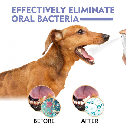 Dog oral care tooth cleaning spray eliminating bacteria and plaque before and after use