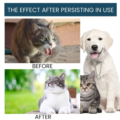 Pet Immune Oral Drops bottle with natural ingredients for cats and dogs immune health