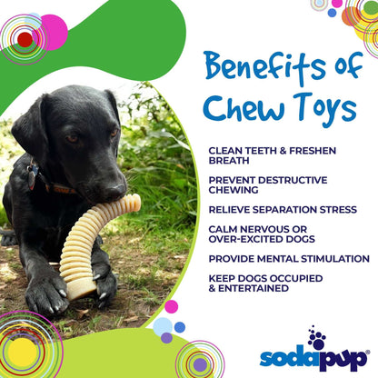 Black dog chewing Flufflehorn Dental Antler nylon chew toy outdoors with text highlighting chew toy benefits