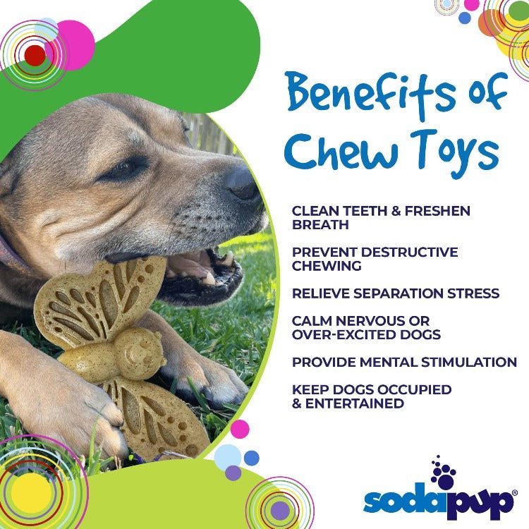 Dog chewing butterfly nylon chew toy for aggressive chewers by SodaPup