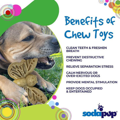 Dog chewing butterfly nylon chew toy for aggressive chewers by SodaPup