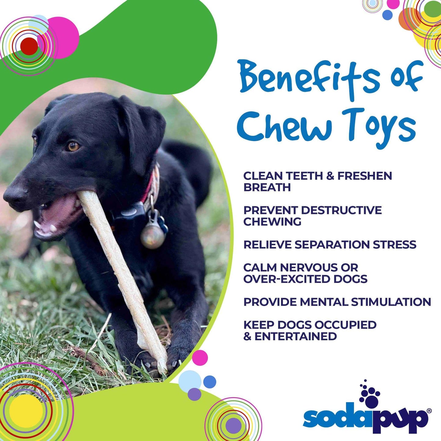 Black dog chewing durable nylon chew stick outdoors with chew toy benefits text