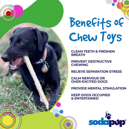 Black dog chewing durable nylon chew stick outdoors with chew toy benefits text