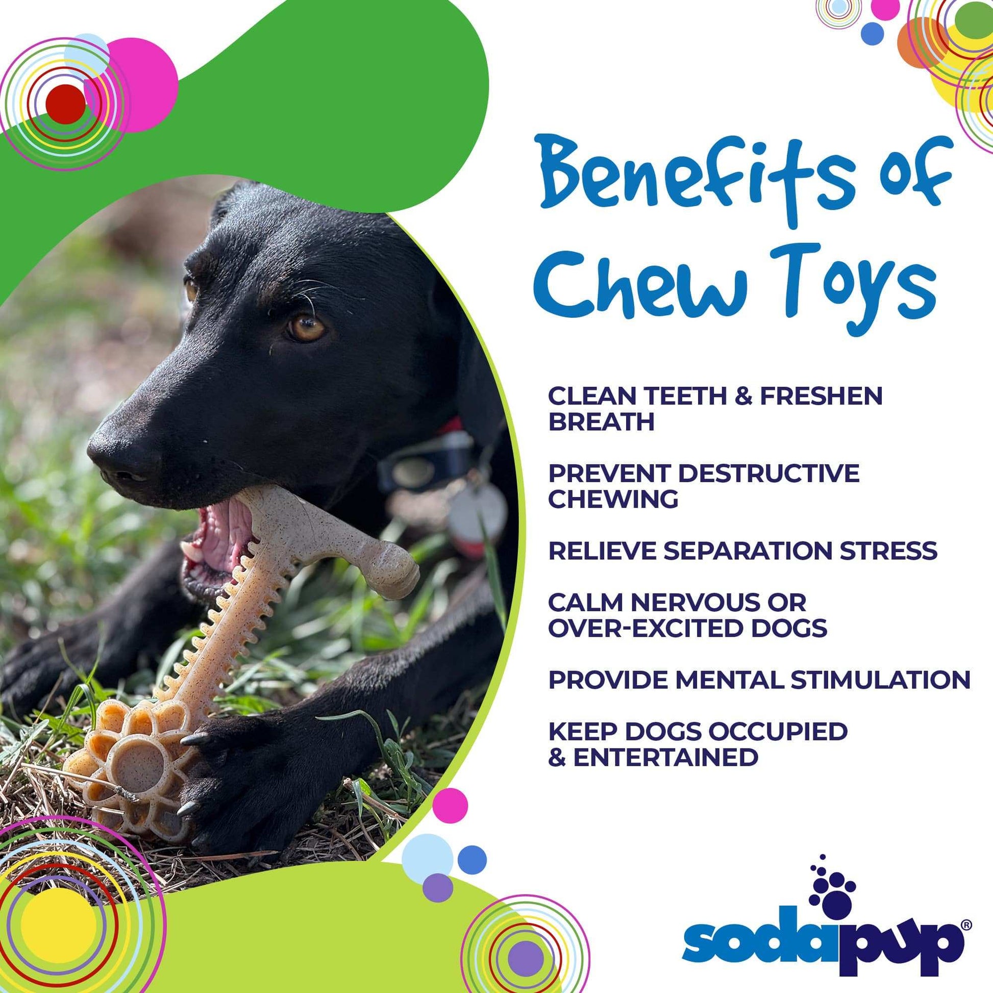 Black dog chewing on Honey Bone Dental Flower Tower indestructible nylon dog chew toy outdoors